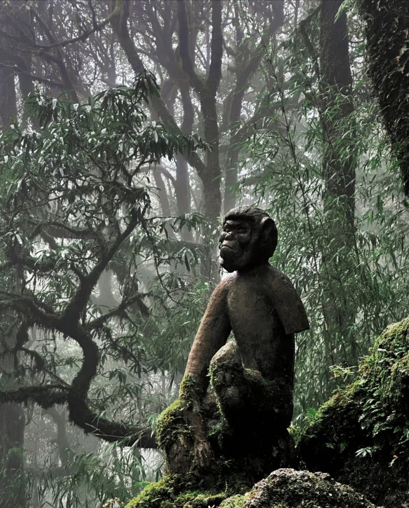 Ape statue in Ailao Mountain Jinshan Primeval Forest Park
